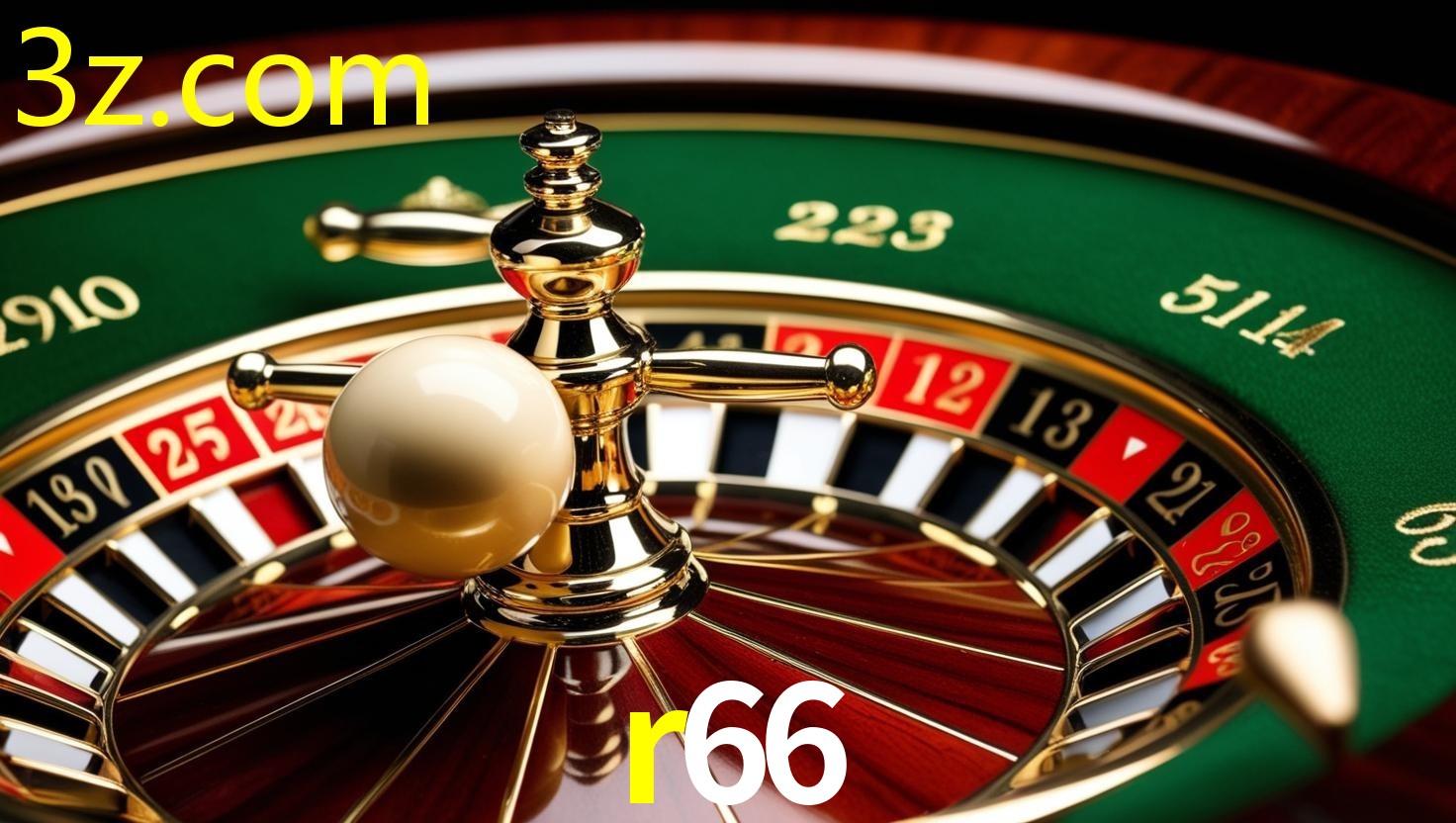 R66.COM